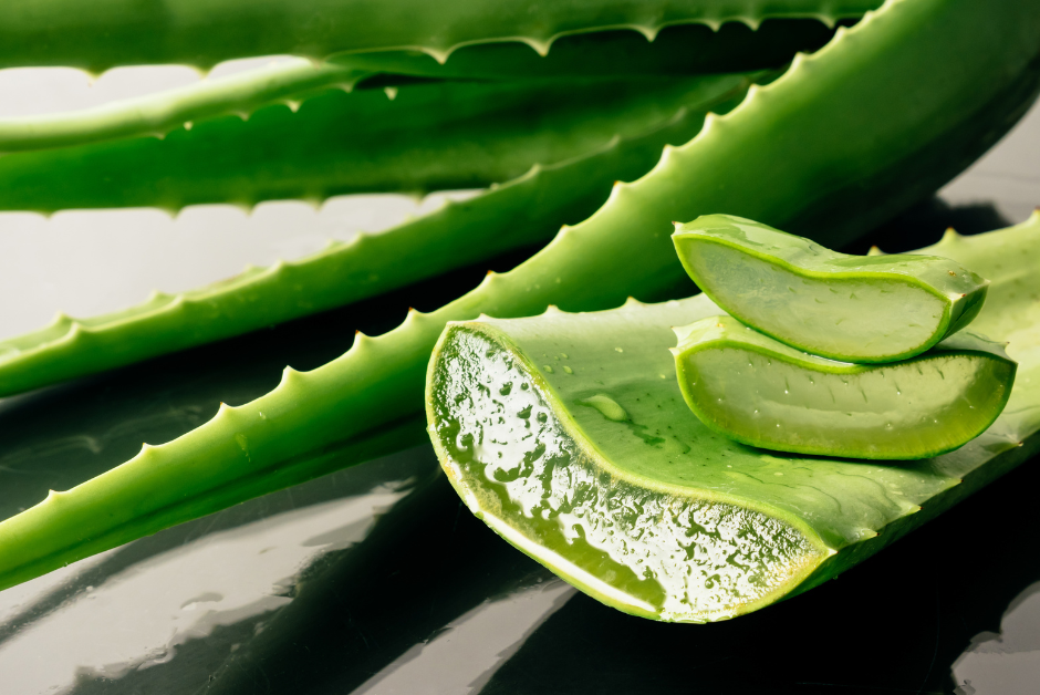 Aloe vera leaf